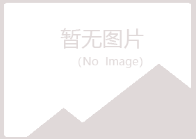 麻山区小珍能源有限公司